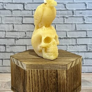 raven on skull small