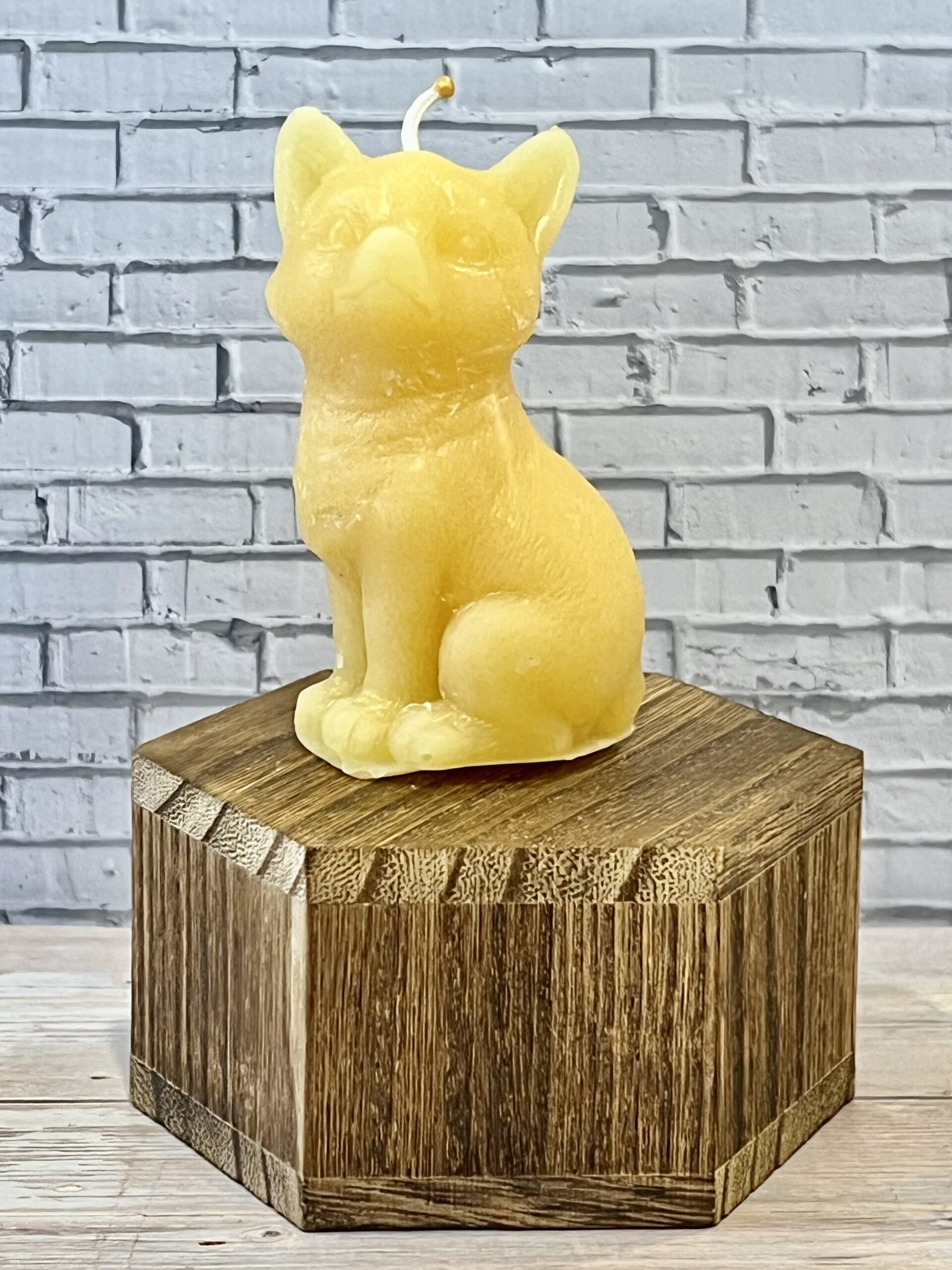 auto draft auto draft