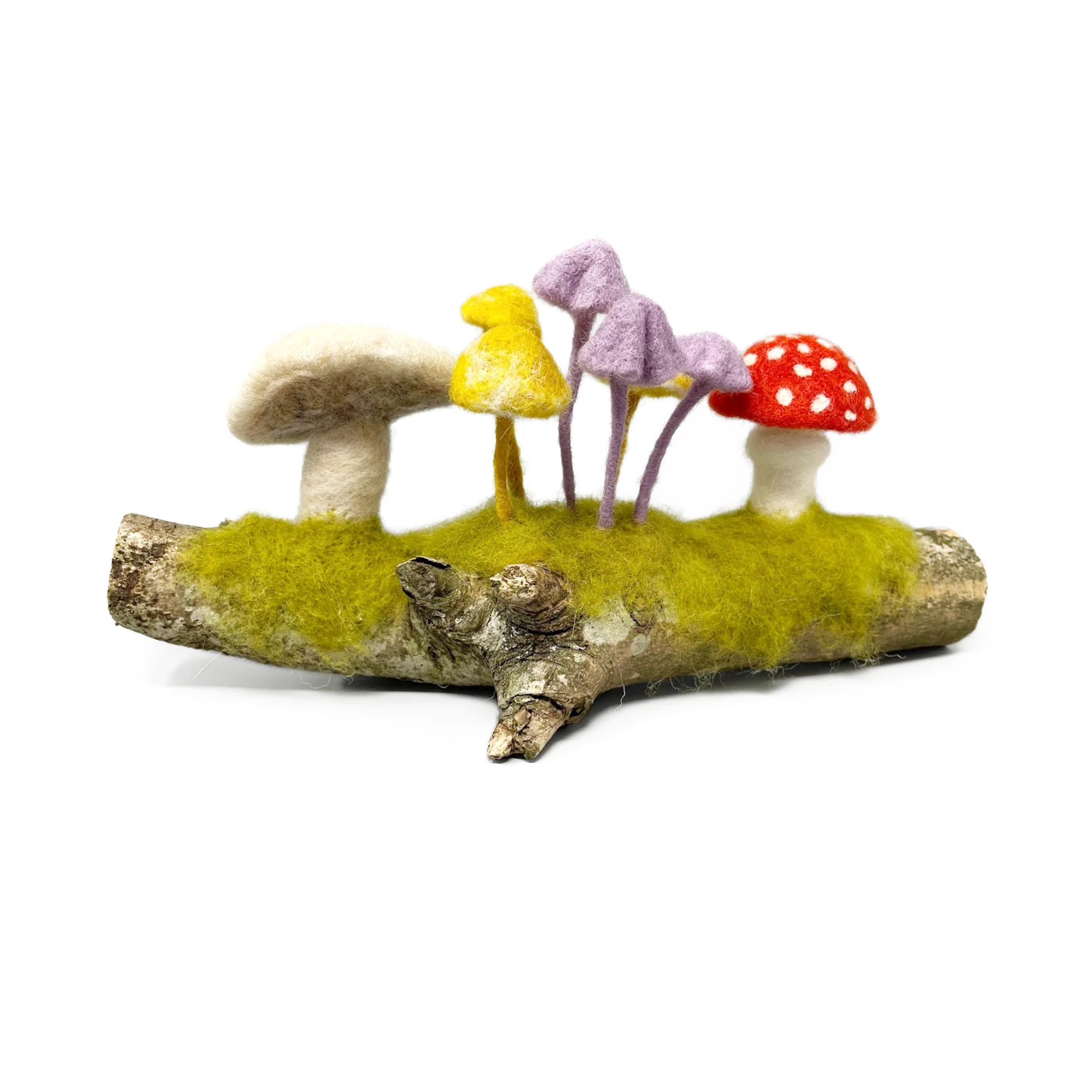 toadstoolsneedlefeltingkit.png