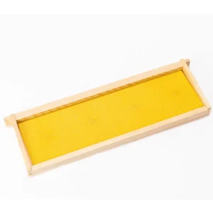 assembled medium frame with canacell foundation