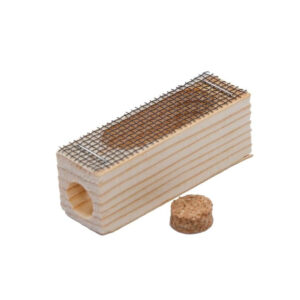 queen cage california mini