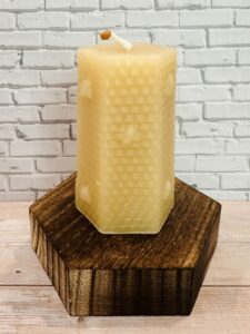hexagon honeycomb bees