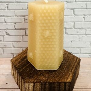 hexagon honeycomb bees