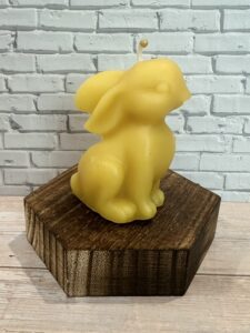 little bunny