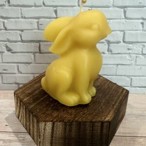 little bunny
