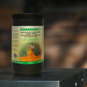 fumagilin b