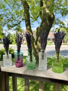 dried lavender in jars