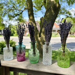 dried lavender in jars